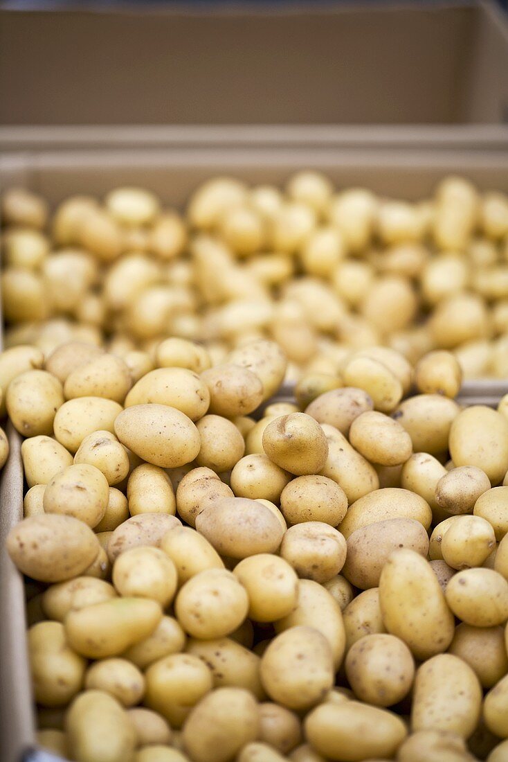 New potatoes on a market stall