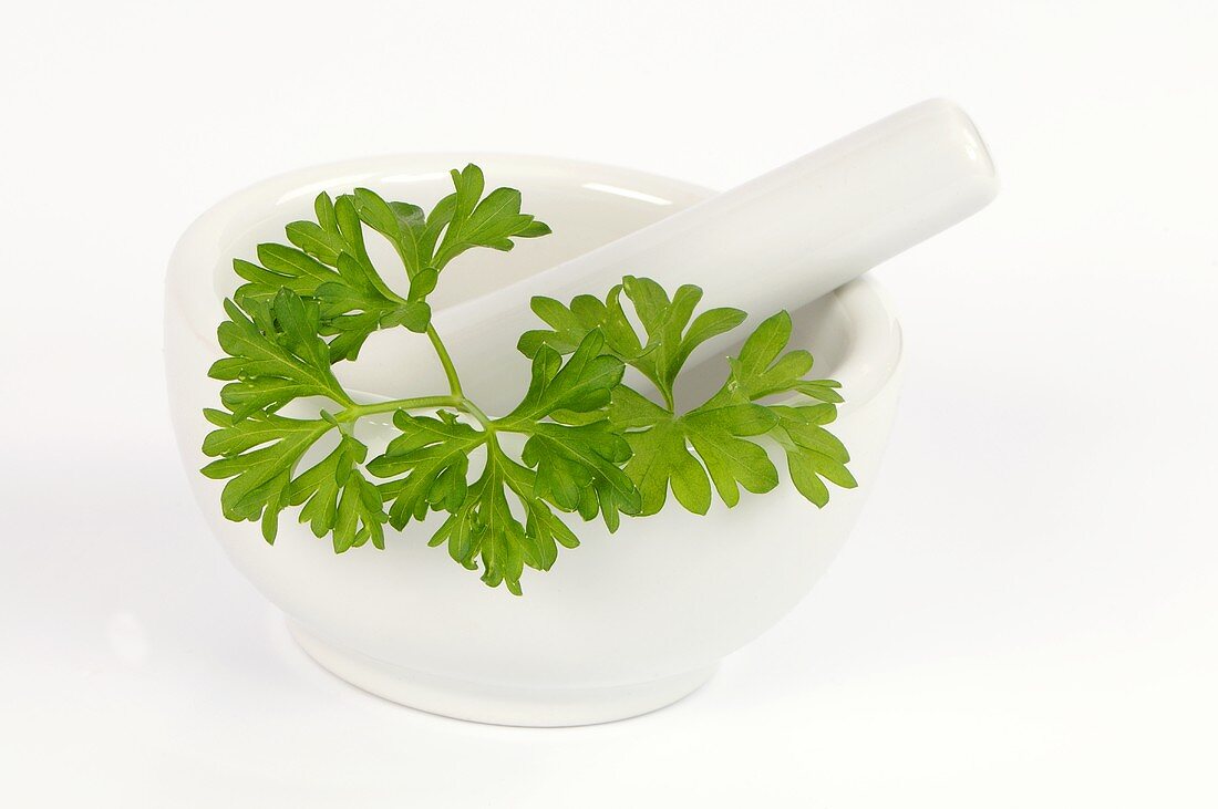 A sprig of parsley in a mortar