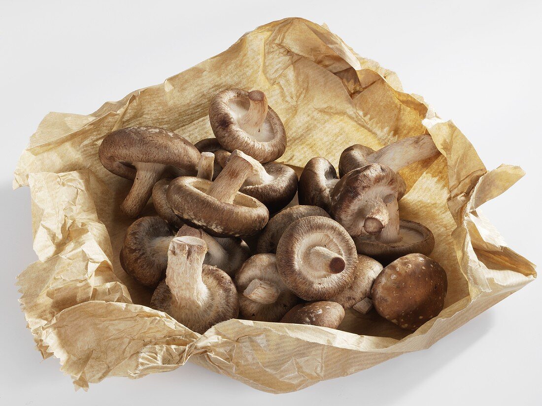 Shiitake mushrooms on a brown paper bag