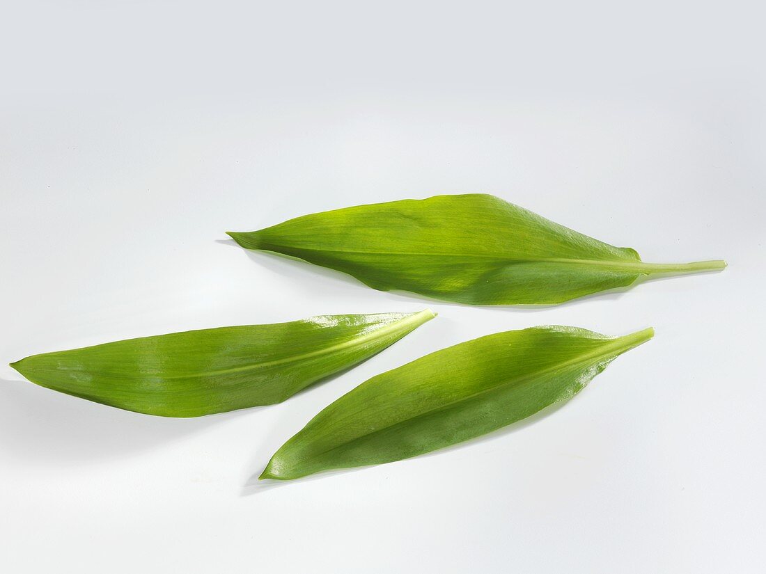 Three fresh ramsons (wild garlic) leaves