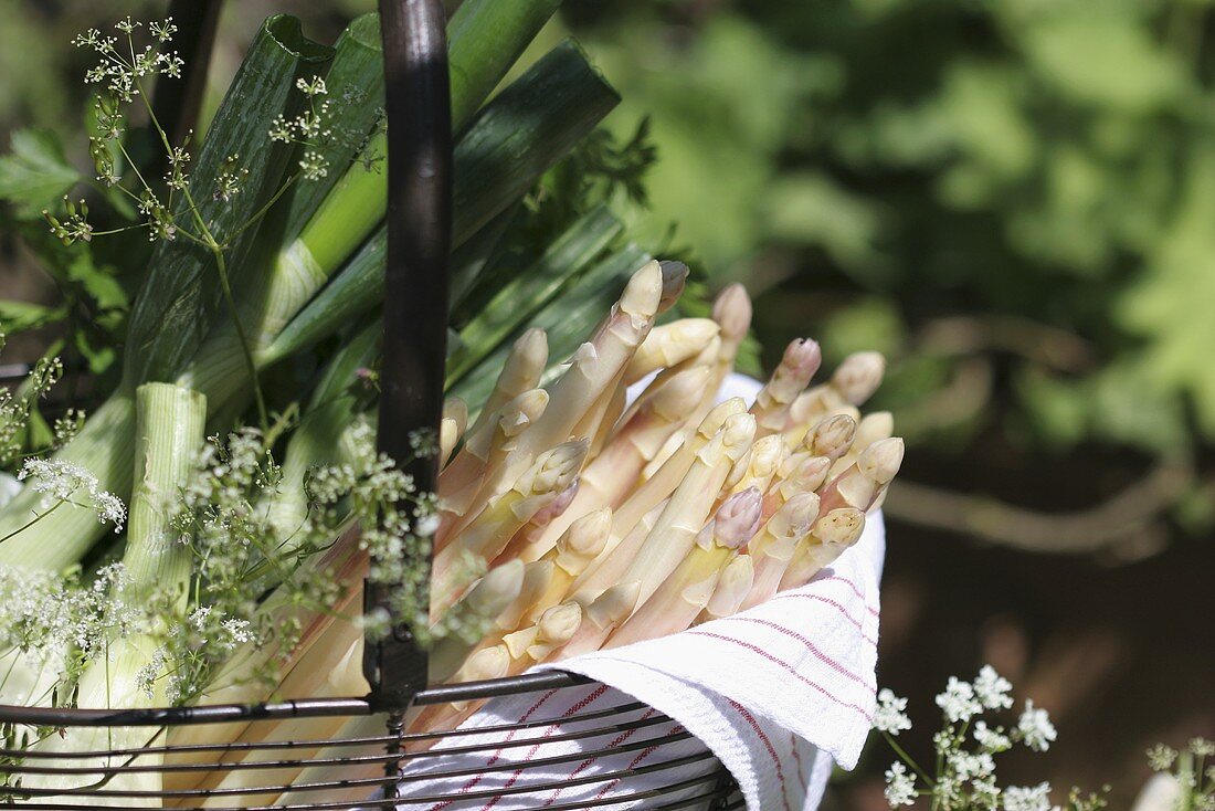 White asparagus and spring onions in basket