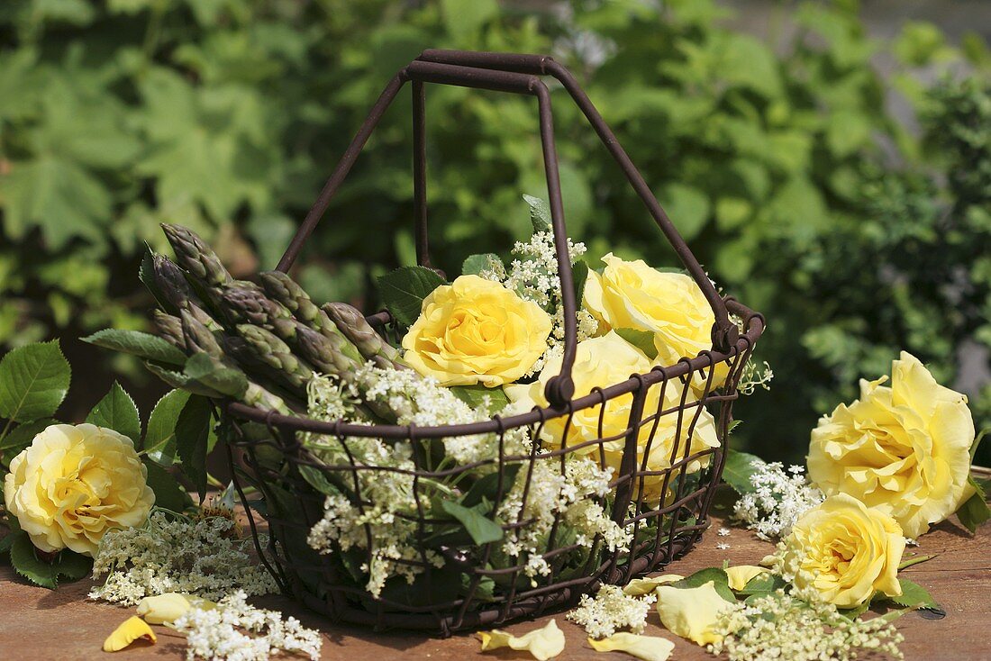 Green asparagus, roses and elderflowers in basket