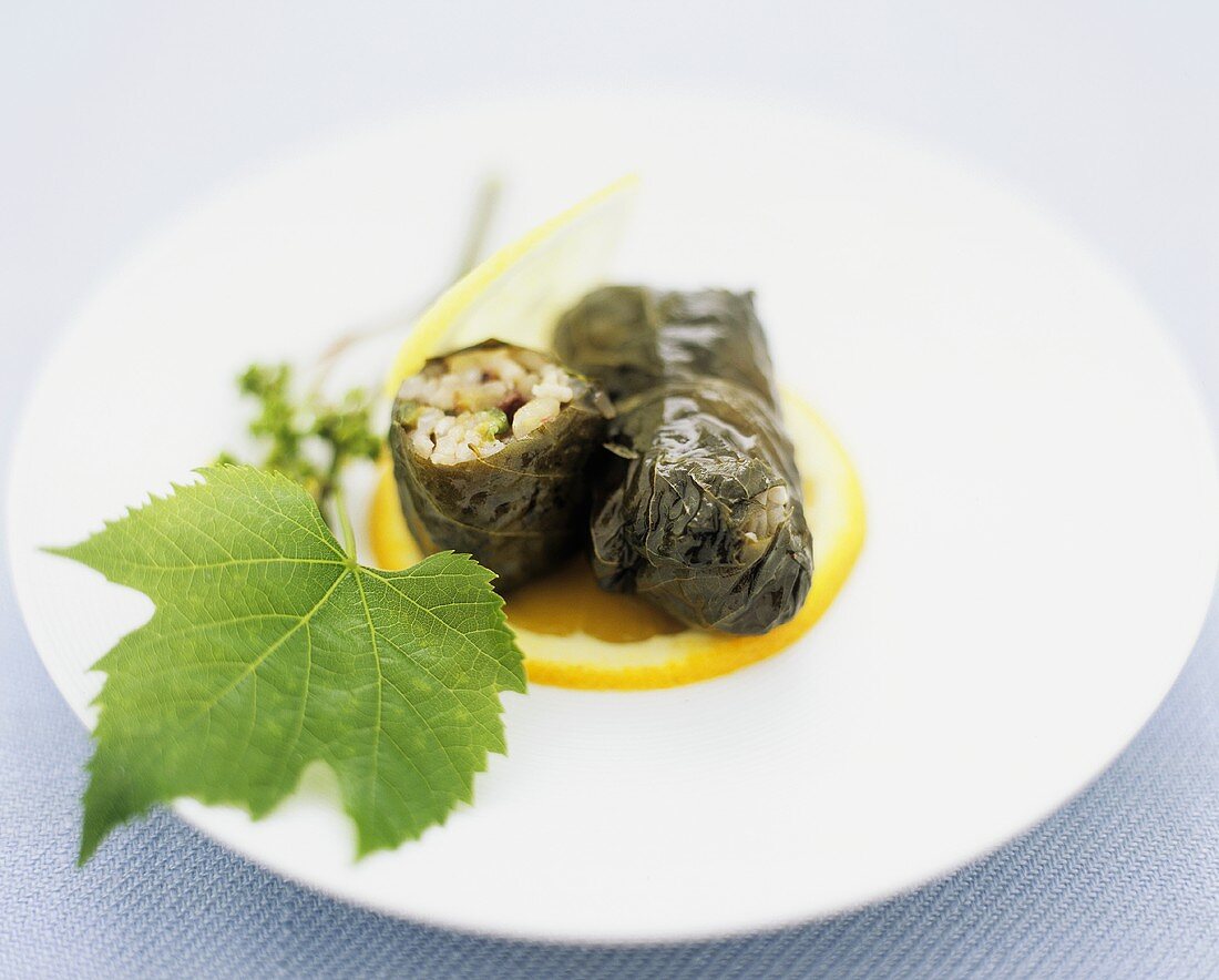 Stuffed vine leaves with vegetarian filling