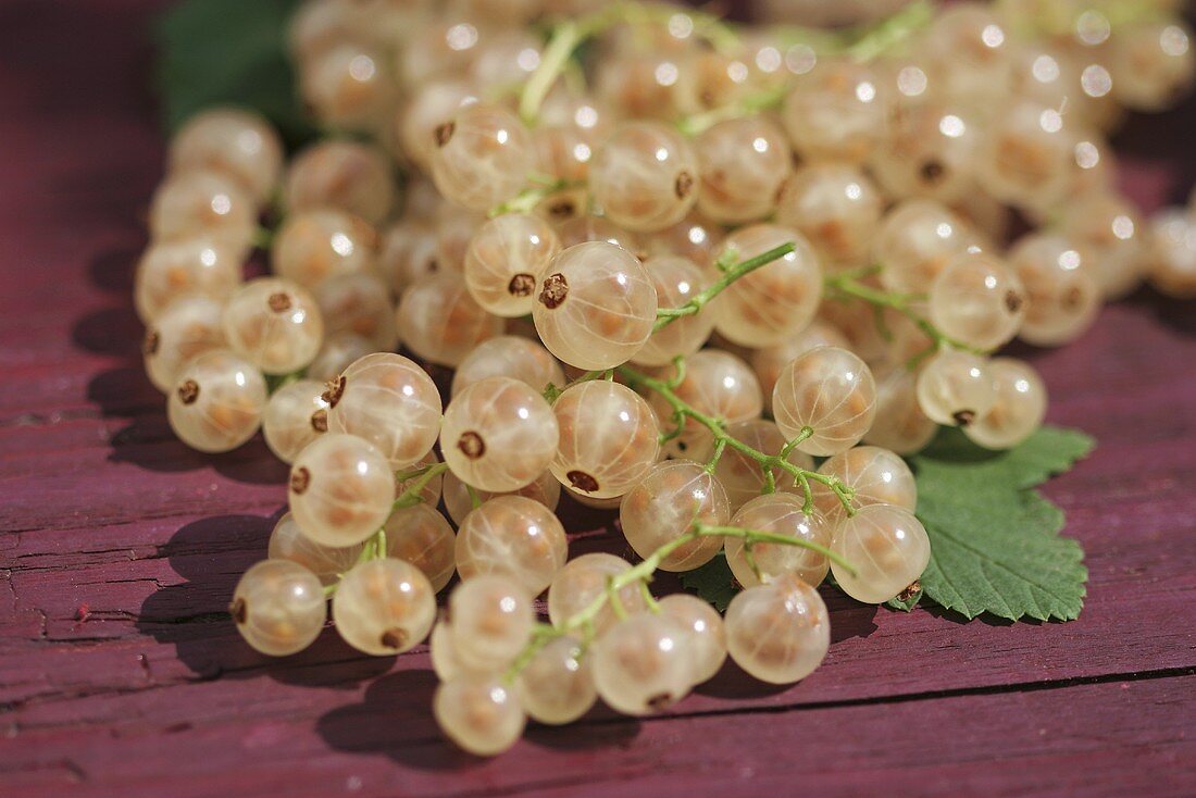 weiße Johannisbeeren (Close-Up)