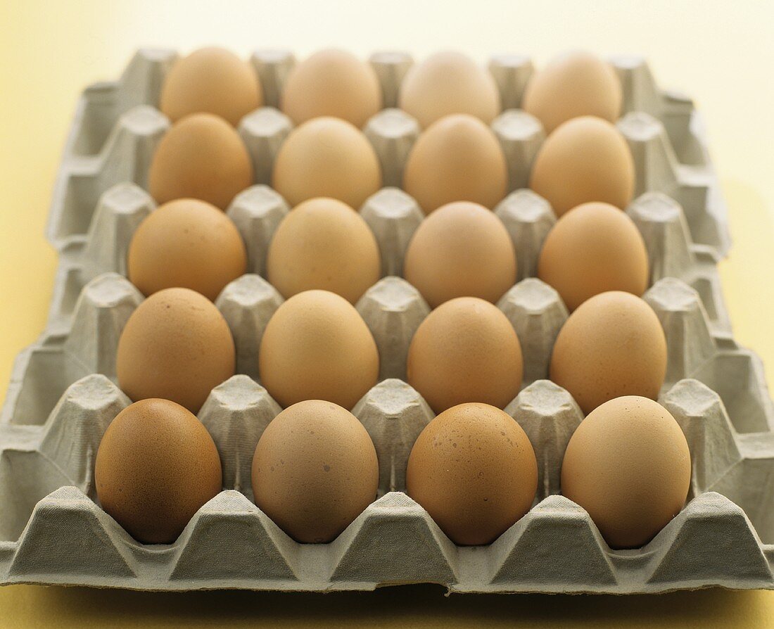 Eine Palette mit braunen Eiern