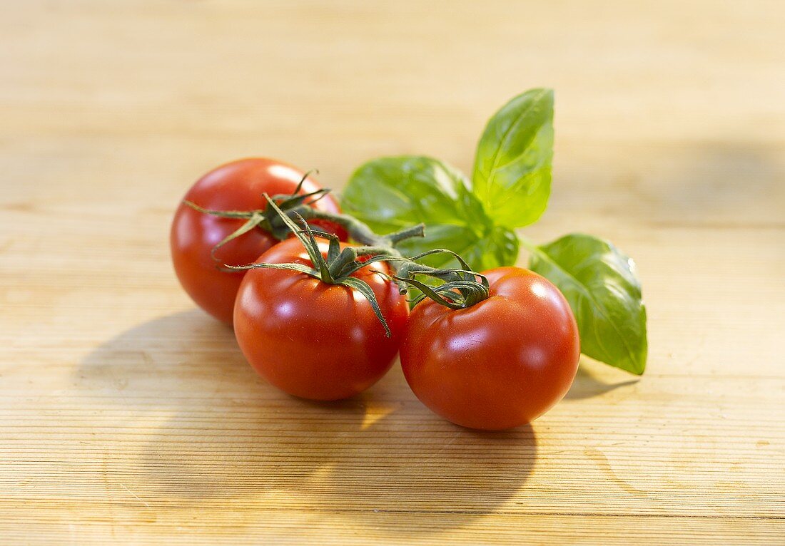 Tomaten und Basilikum auf Holzuntergrund