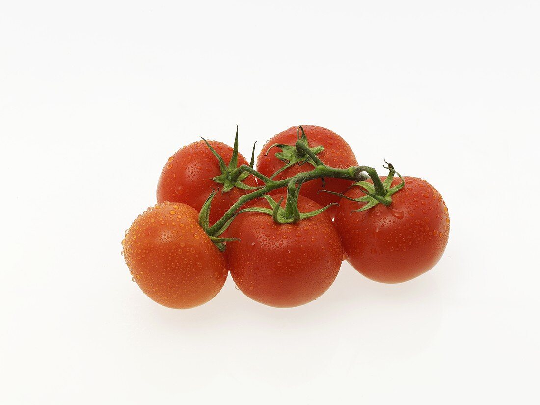Five freshly washed vine tomatoes