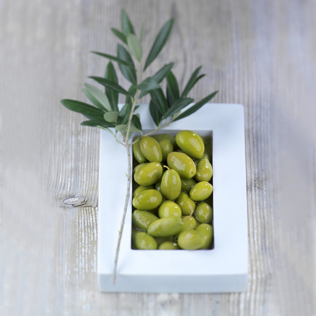 Grüne Oliven in Schale mit Olivenzweig