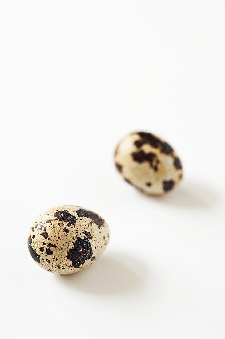 Two quails' eggs