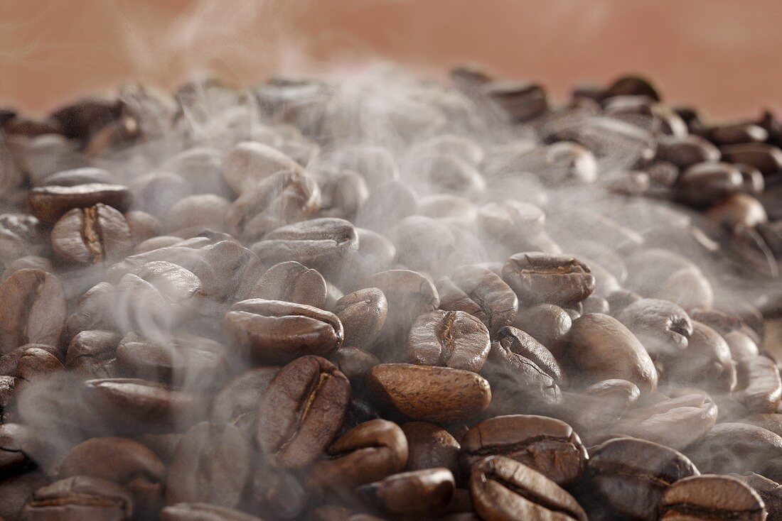 Coffee beans with steam