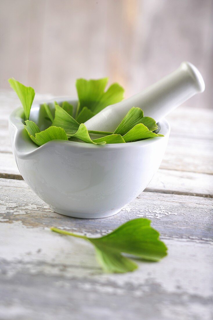 Gingko leaves in a mortar