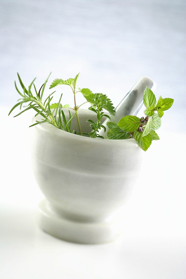 Various fresh herbs in a mortar