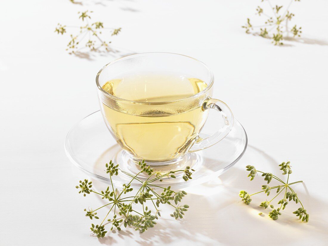 Fennel tea in a glass cup