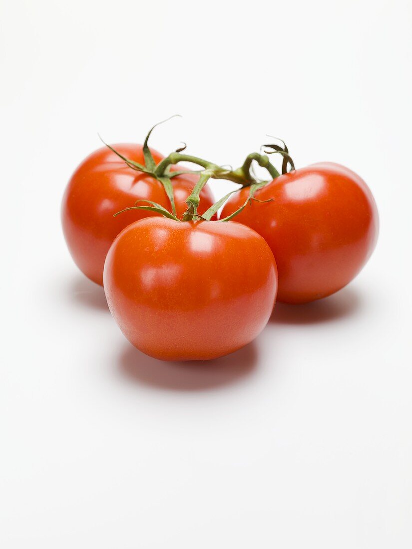 Three Vine Ripe Tomatoes on White