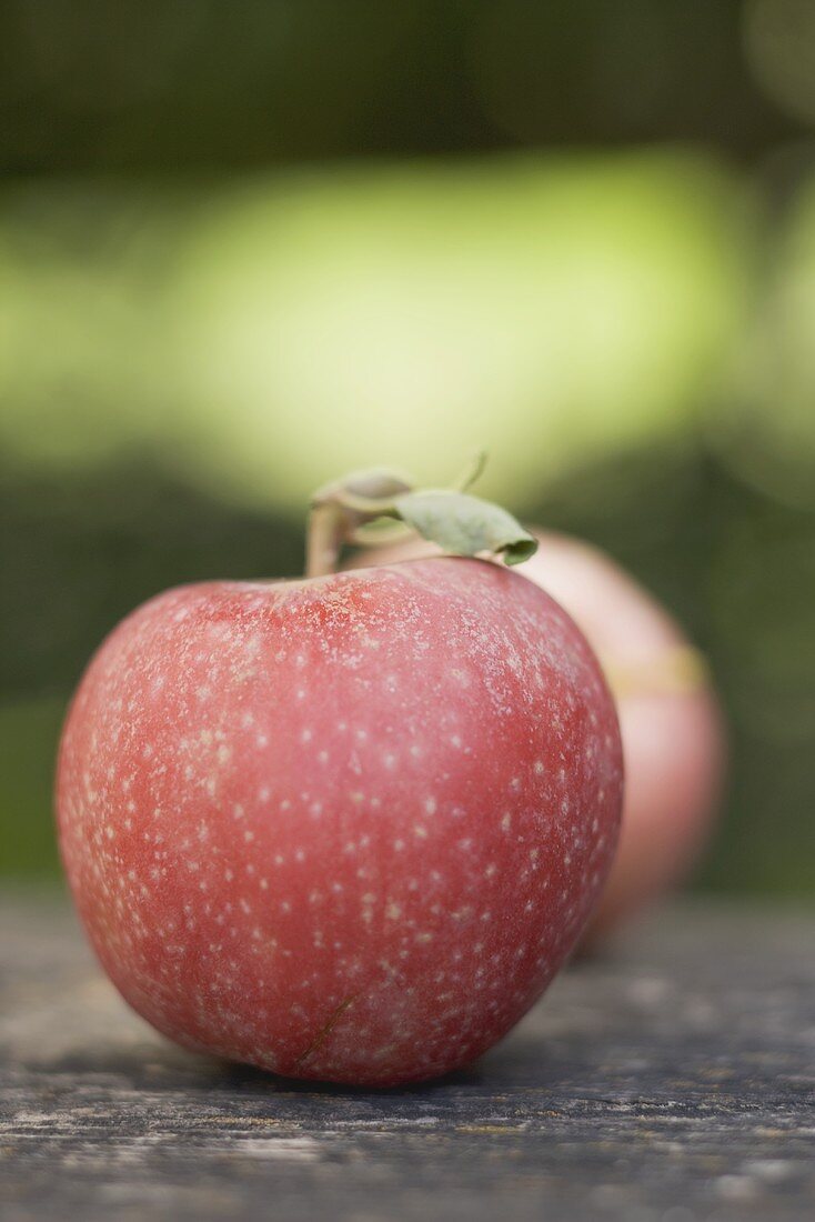 A Single Whole Apple on a White Background