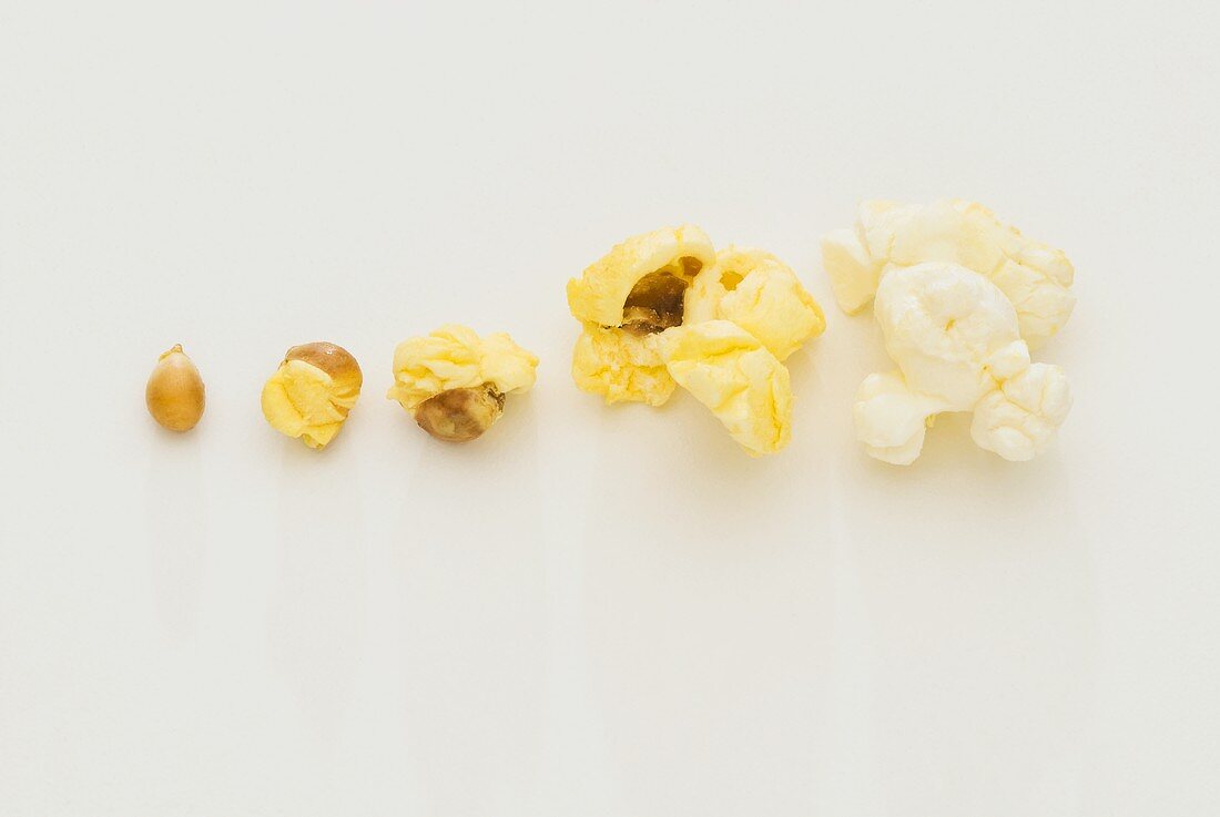 Maiskorn entwickelt sich zum Popcorn