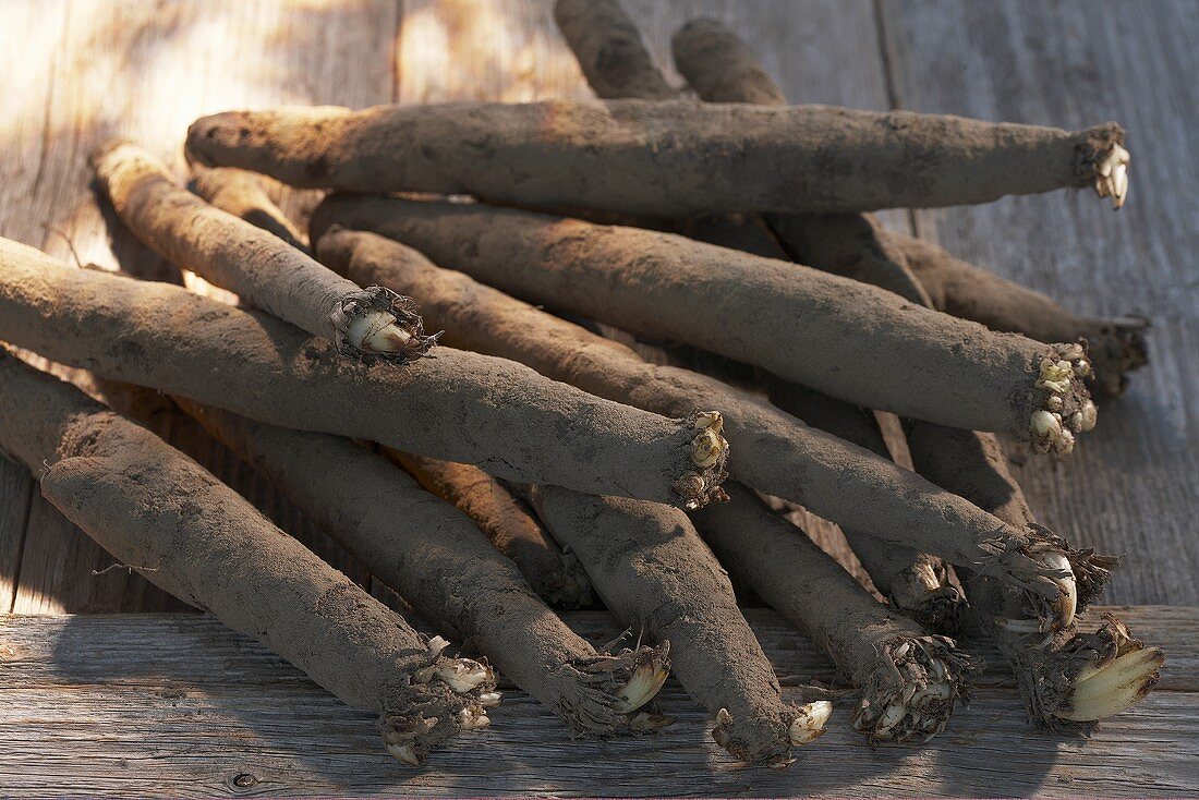 Scorzonera (black salsify) on wooden background