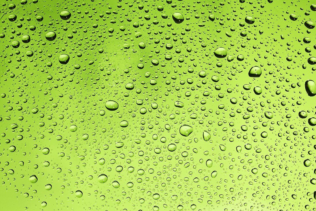Drops of water on green surface