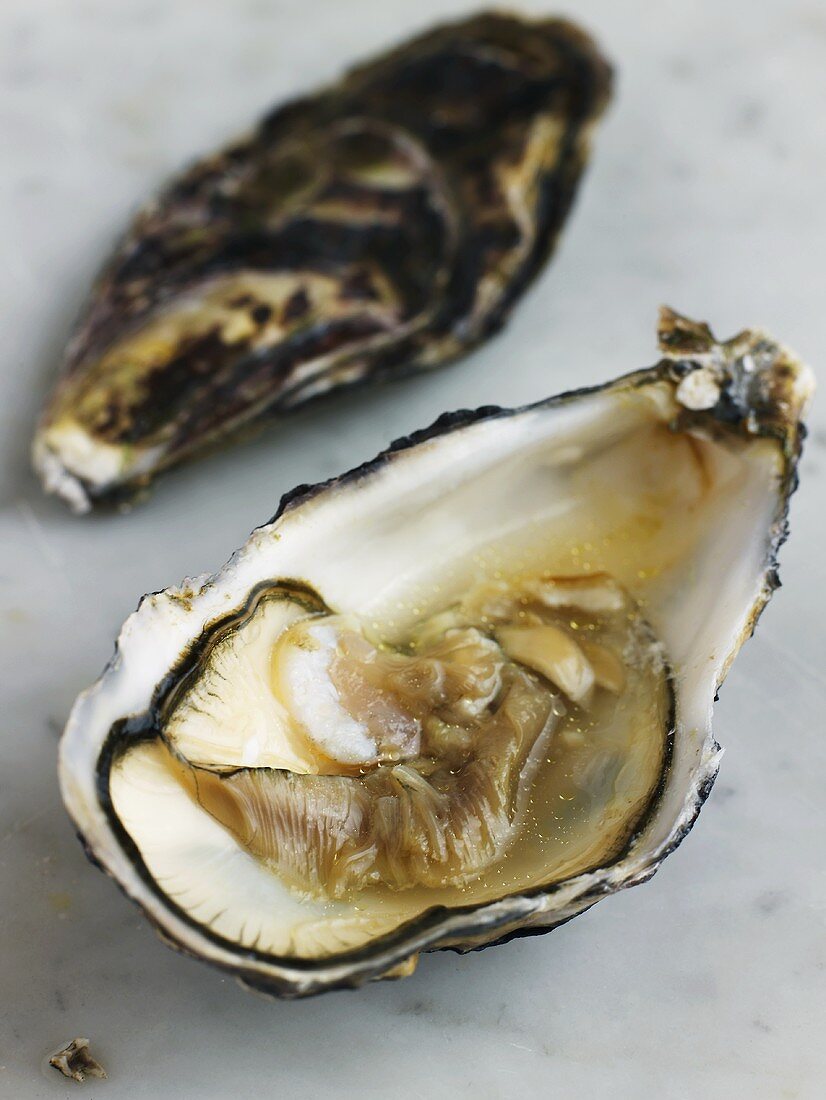Opened oyster on marble