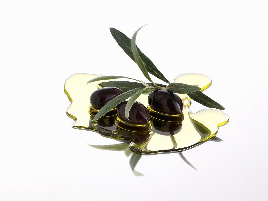 Schwarze Oliven mit Zweig in Olivenöl