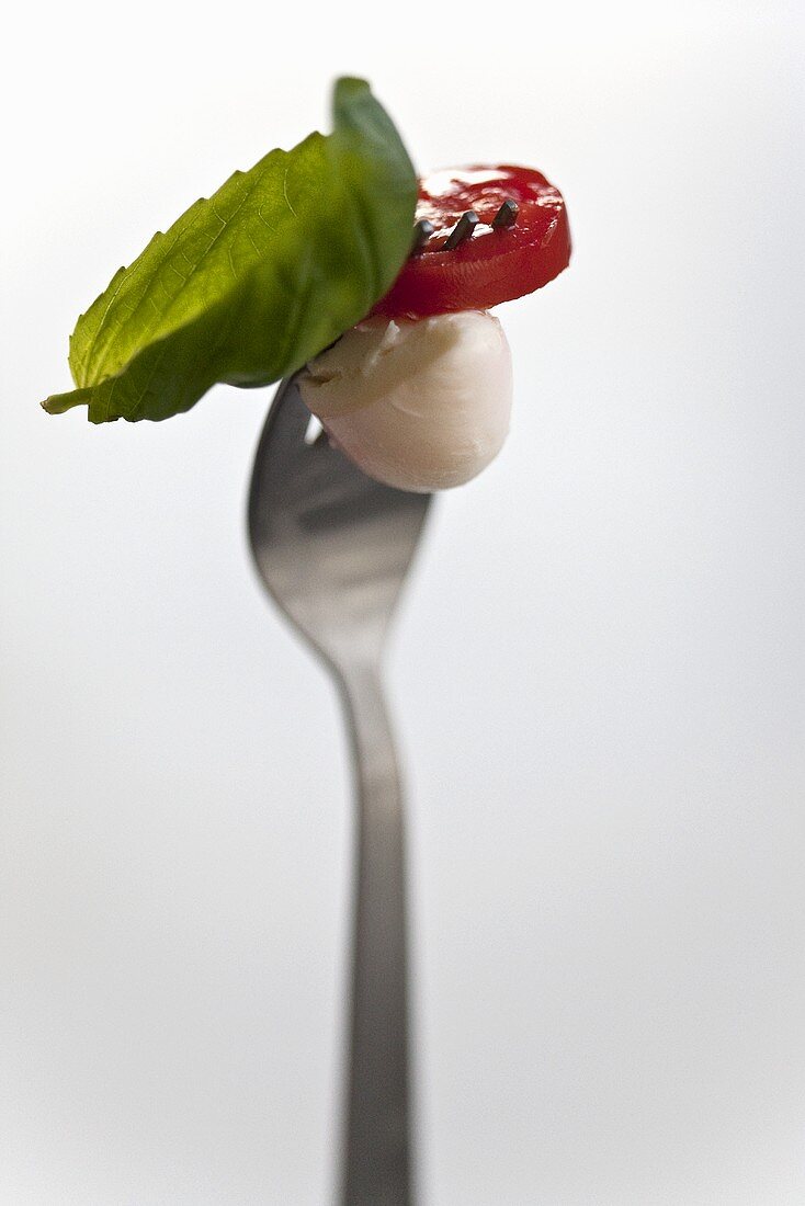 Mozzarella, Tomate und Basilikum auf Gabel