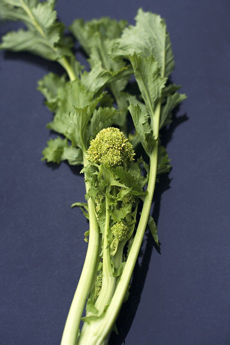 Broccoli rabe