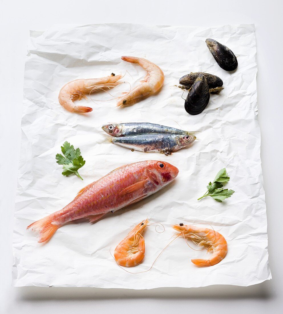Red mullet, anchovies, mussels and prawns on paper