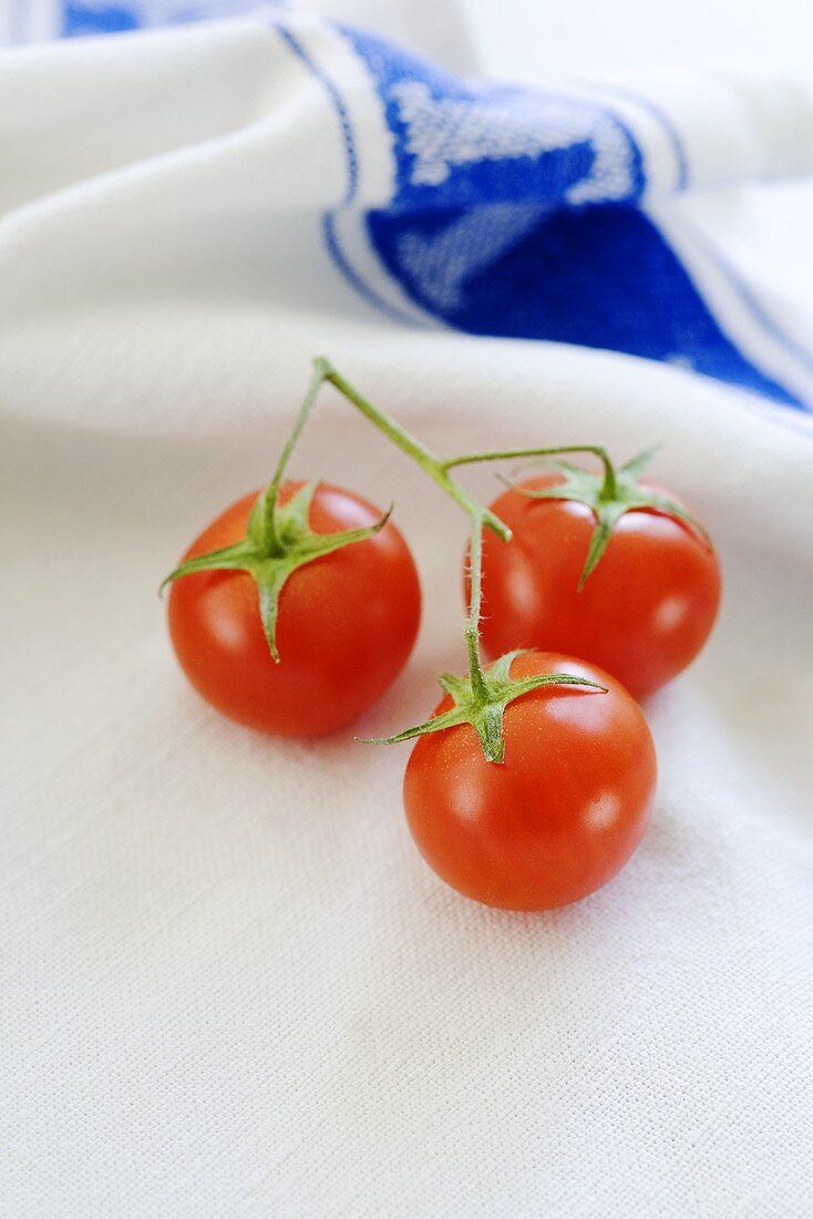 Cherry tomatoes on tea towel