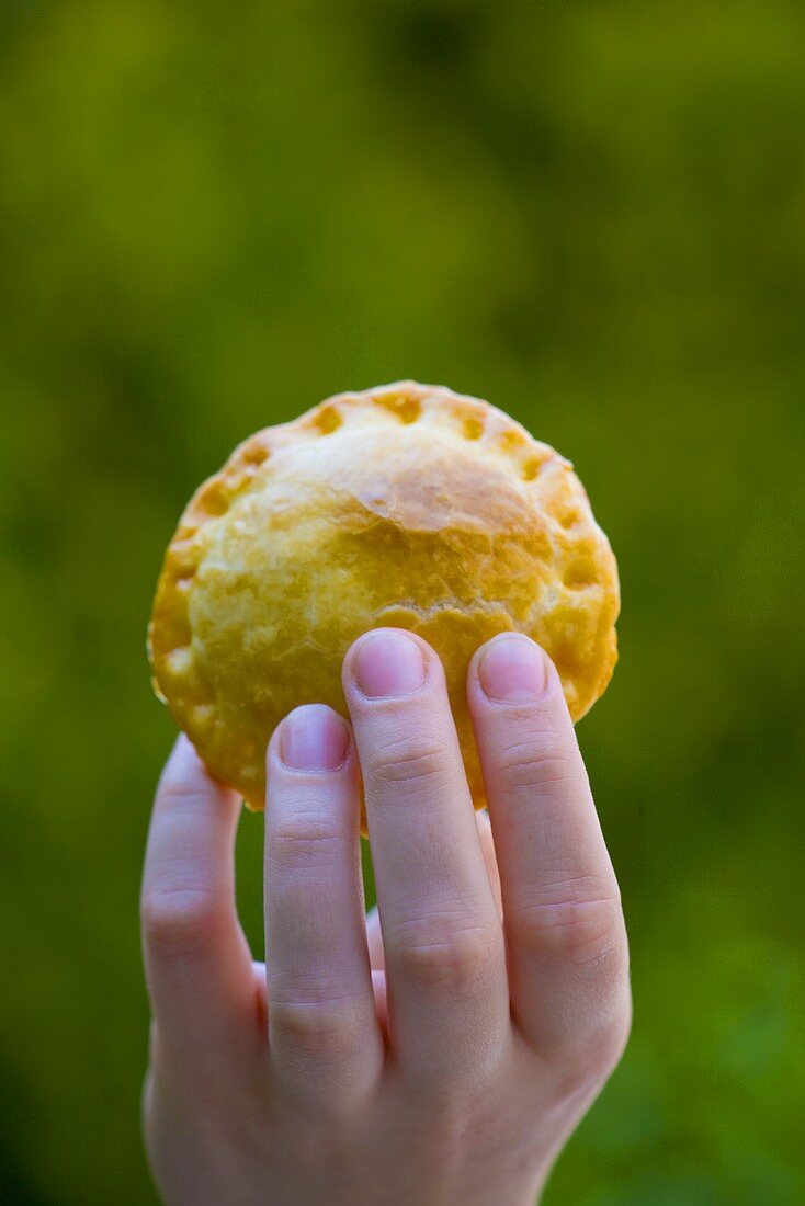 Hand hält Pastetchen mit Fleischfüllung