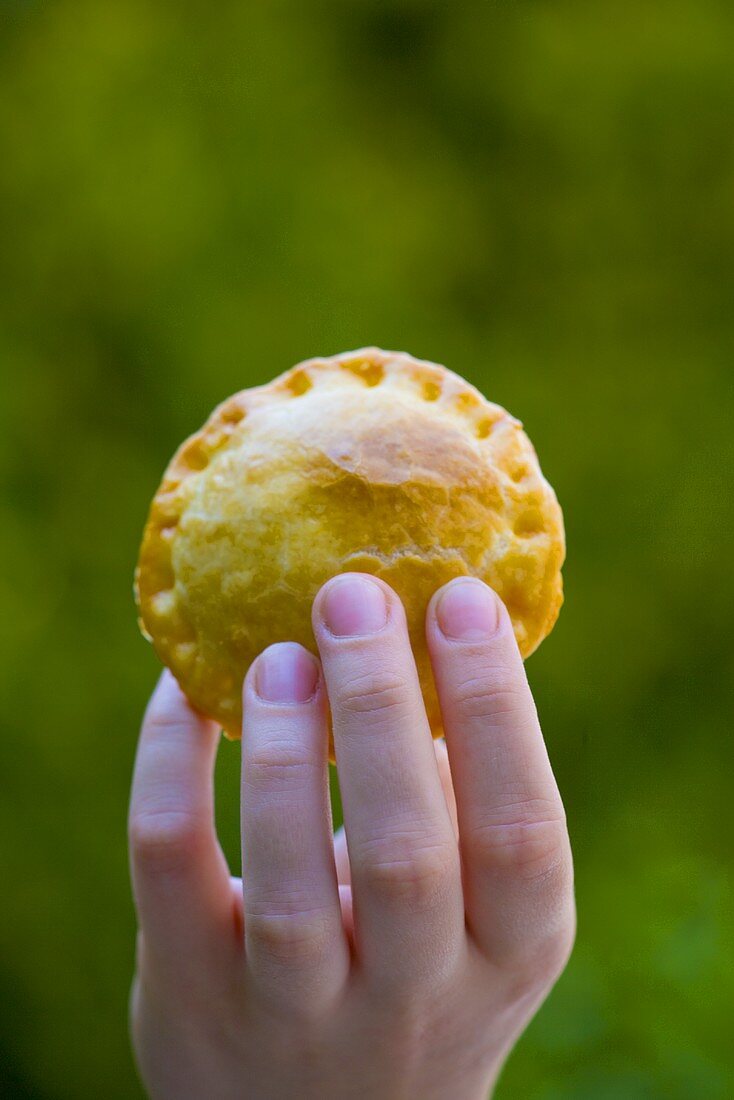 Hand holding meat pie