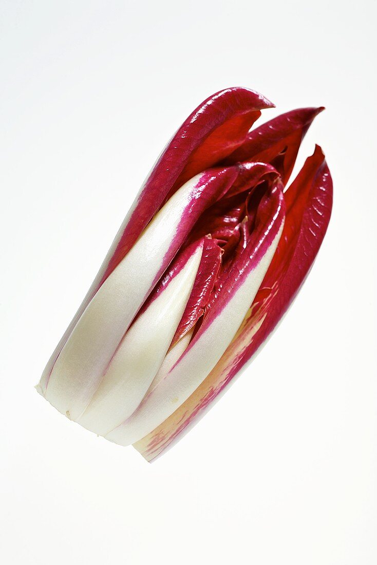 Frischer Radicchio