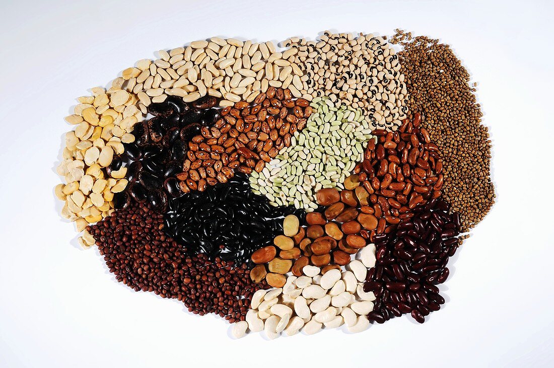 Many different types of beans