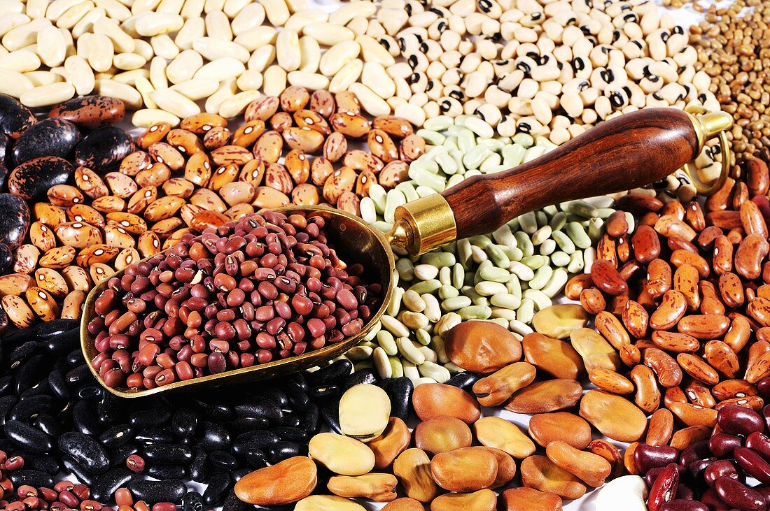 Many different types of beans with scoop