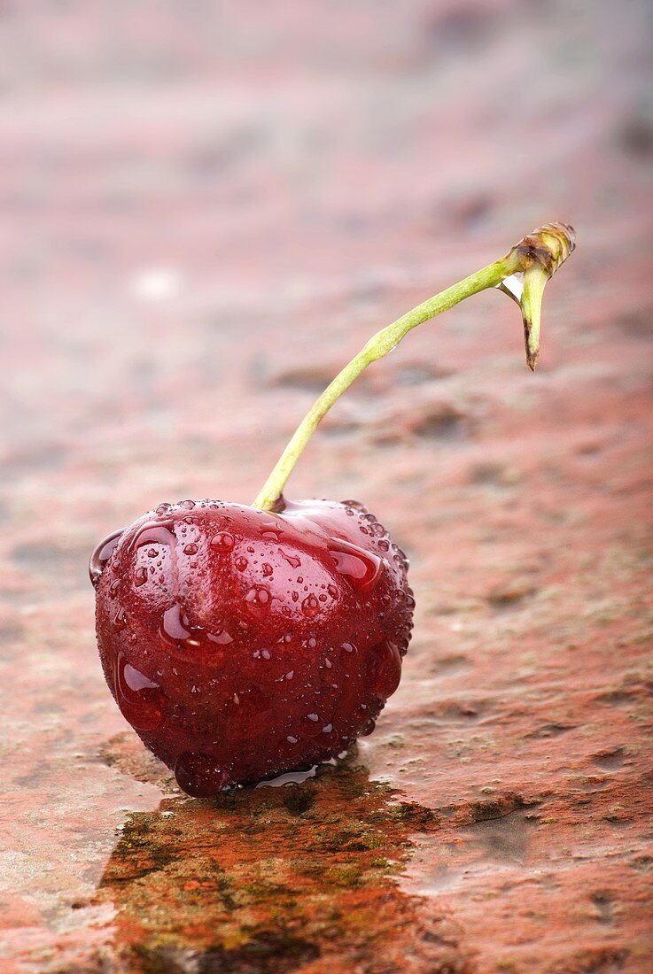 A cherry in the rain