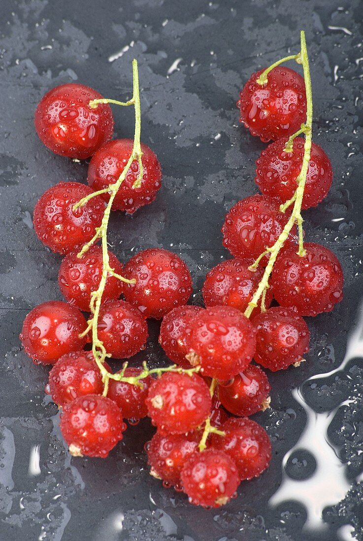 Rote Johannisbeeren mit Wassertropfen