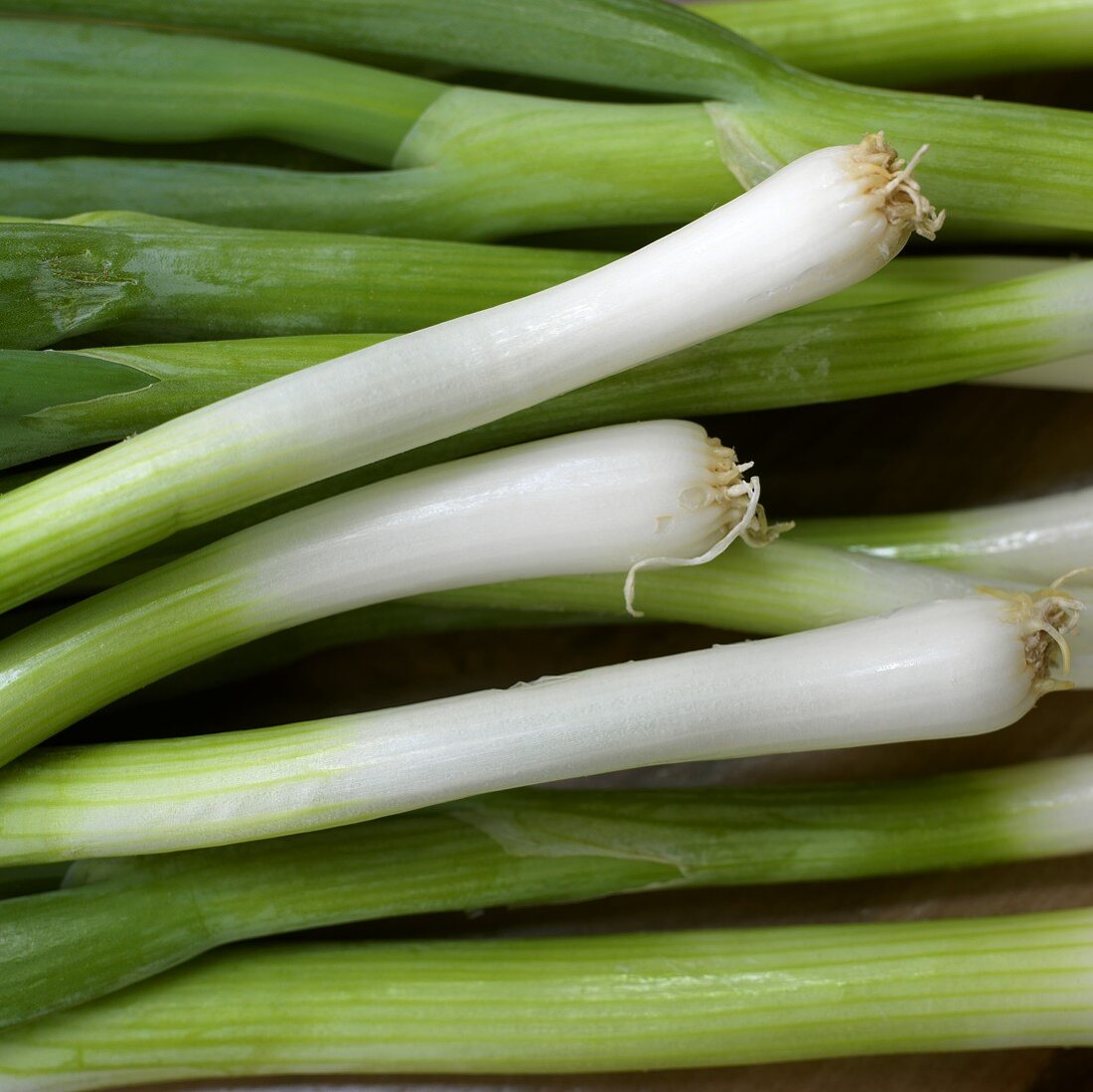 Several spring onions