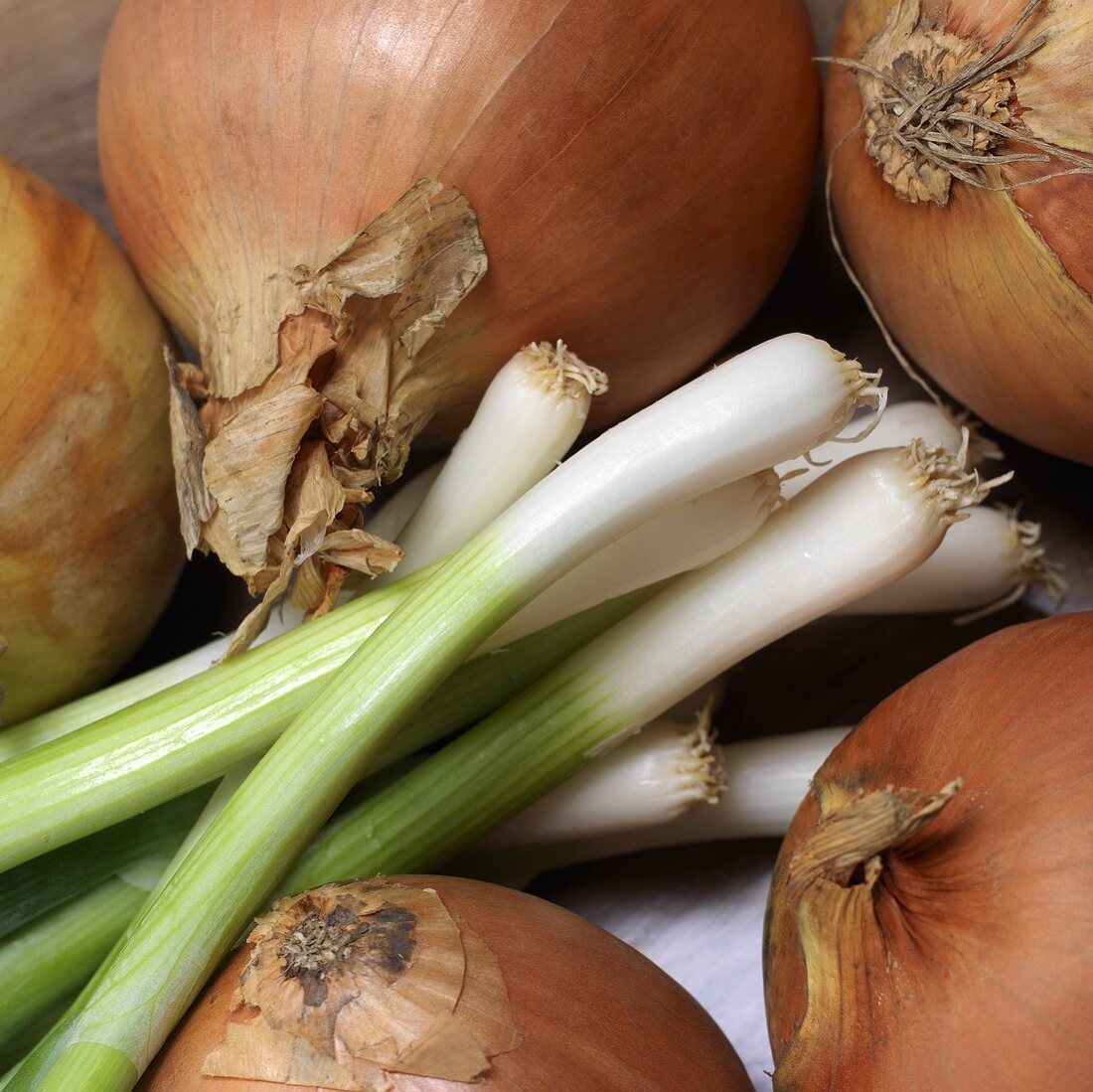 Brown onions and spring onions