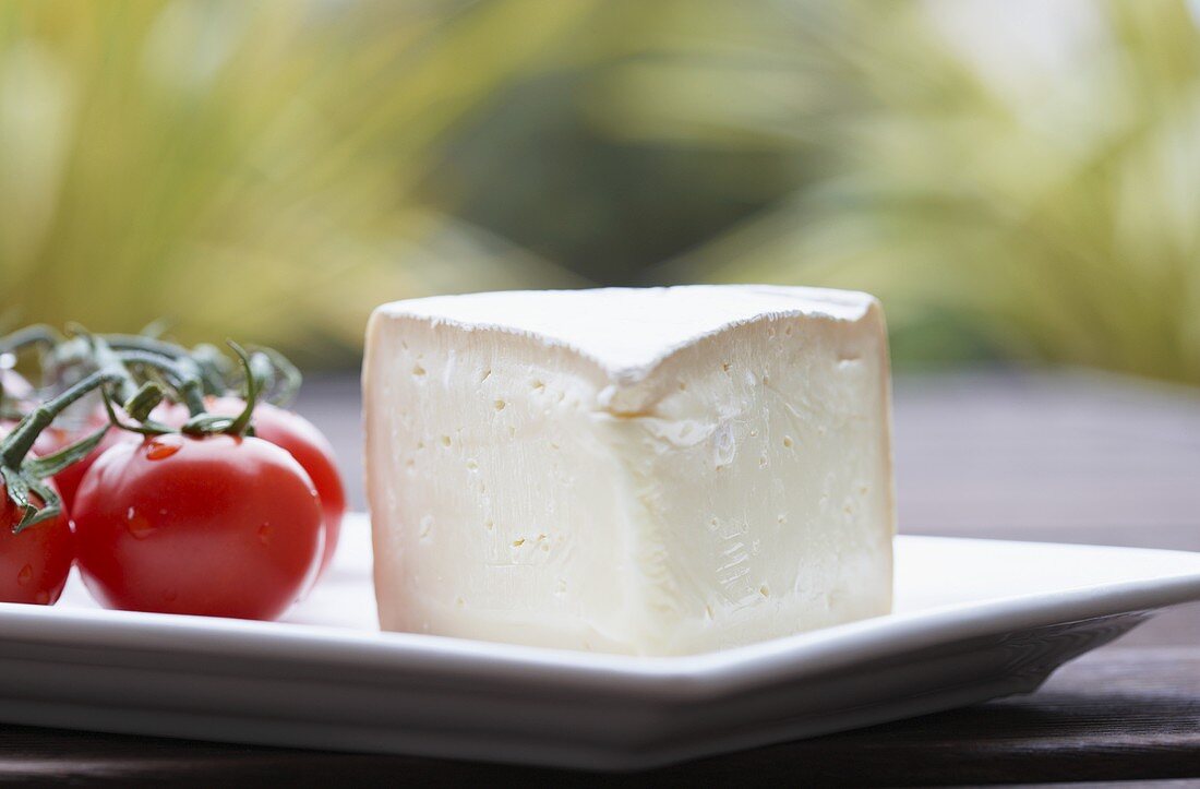 Ein Stück Camembert mit Cocktailtomaten auf einem Teller