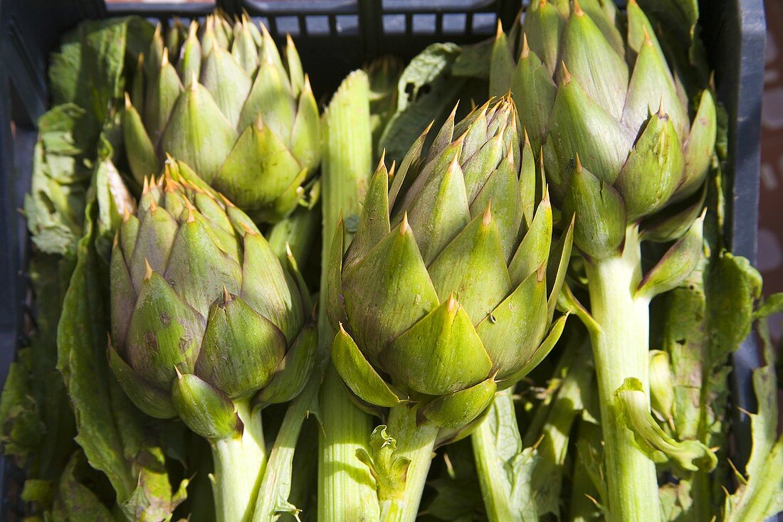 Artichokes in a crate