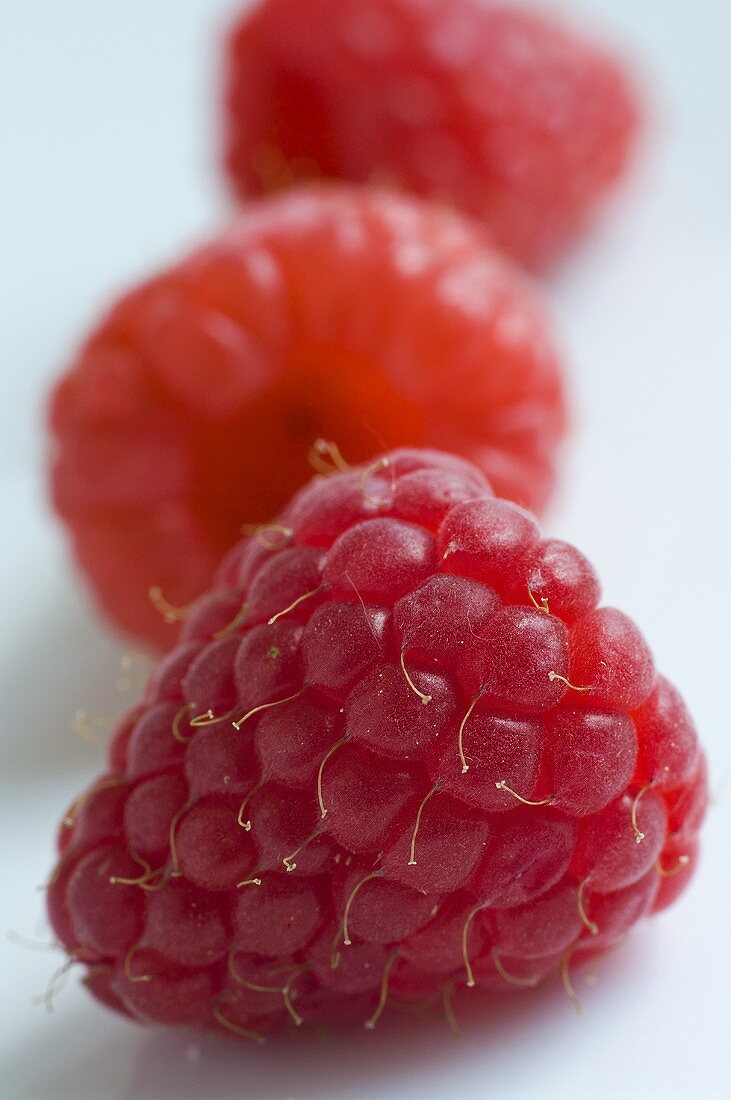 Three raspberries, close-up