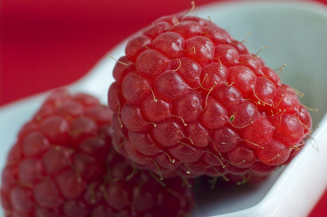 Two raspberries in a small dish