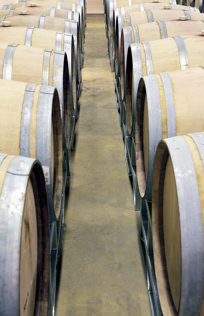 French oak barrels, Western Cape, South Africa