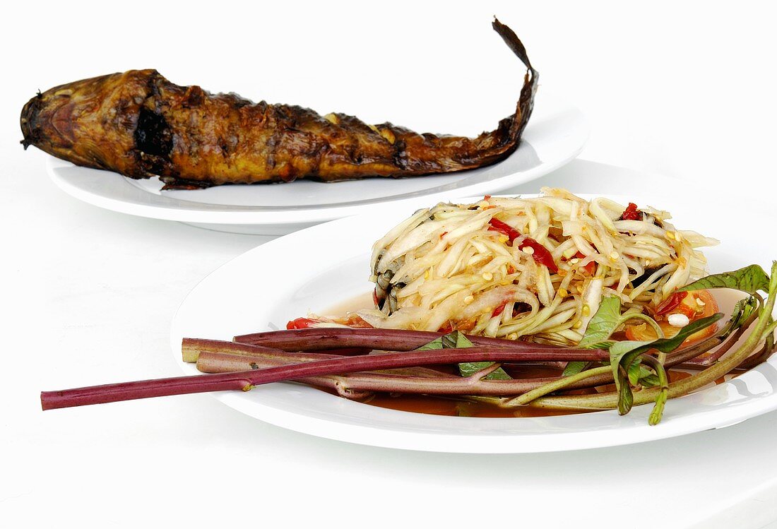Papaya salad with water spinach and grilled wels catfish (Thailand)