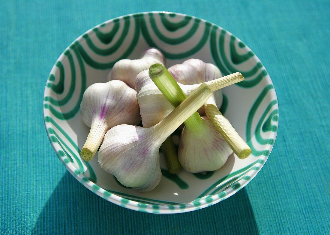 Garlic bulbs in a bowl