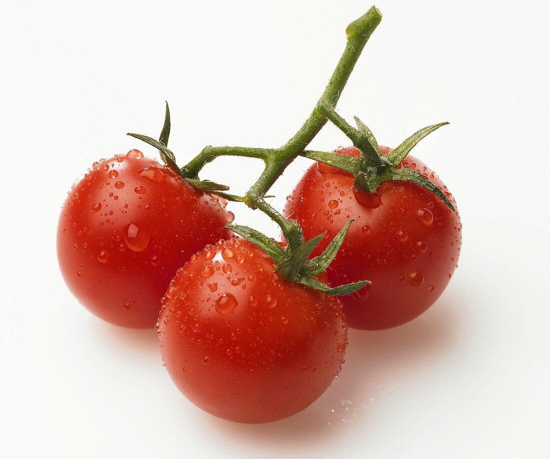 Three tomatoes with drops of water