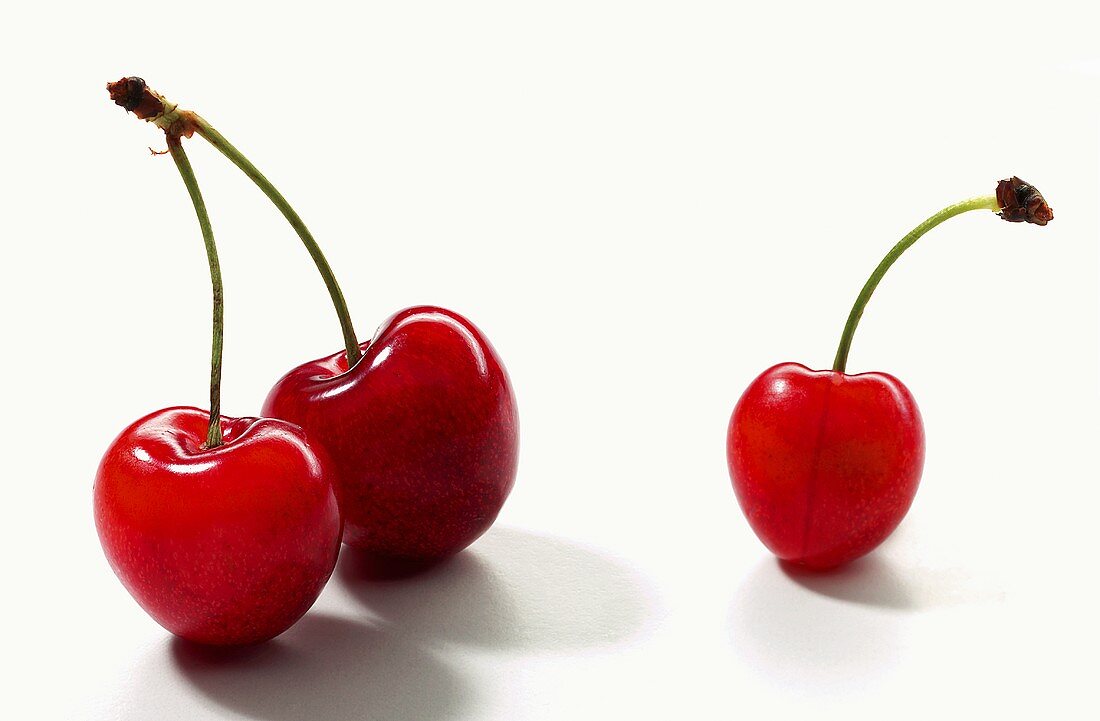 Three morello cherries