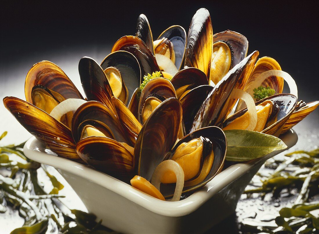 Mussels in stock