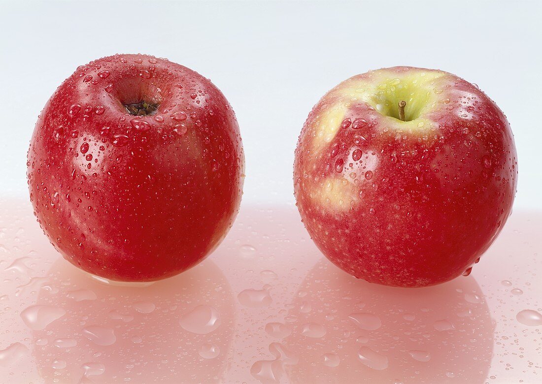 Two red apples with drops of water