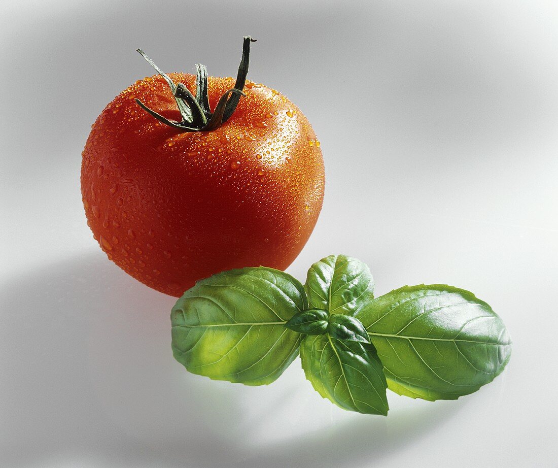 A tomato with drops of water and basil