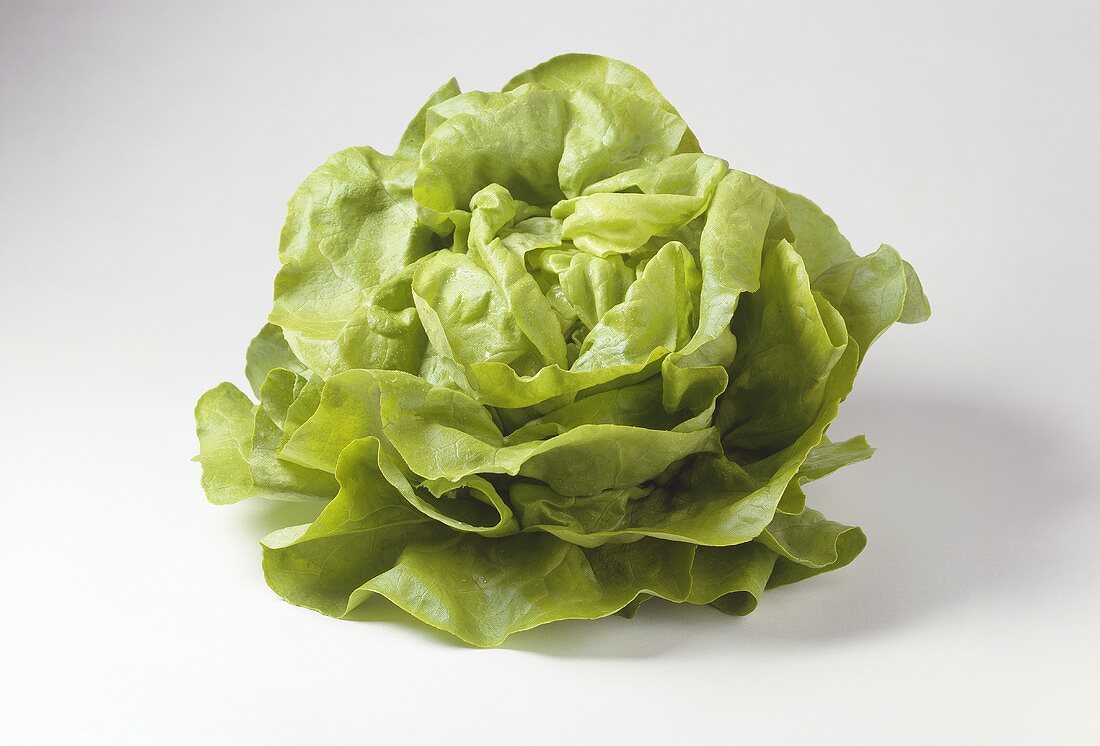 A lettuce